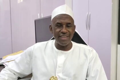Focus on real issues, stop passing nonsensical laws – Mahdi Shehu tells National Assembly