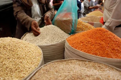 Food prices remain high despite fourth inflation decline – CPPE
