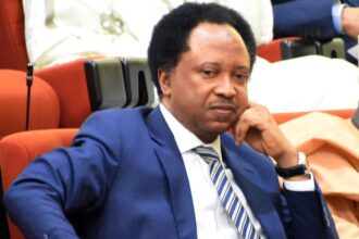 Hardship: President Tinubu Is Receiving Bashing, Governors Are Getting Richer – Shehu Sani