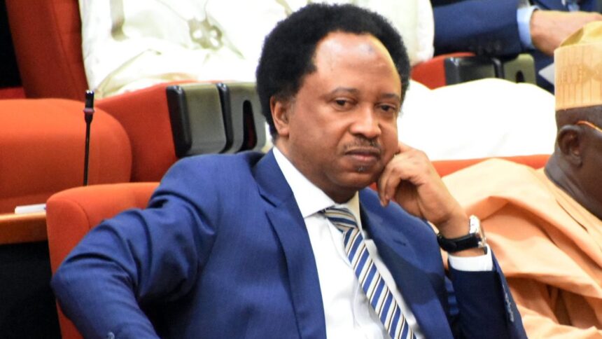 Hardship: President Tinubu Is Receiving Bashing, Governors Are Getting Richer – Shehu Sani