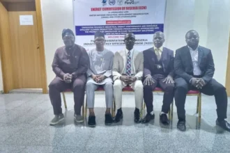 How Nigerian manufacturers, investors can save energy – DG ECN, Abdullahi