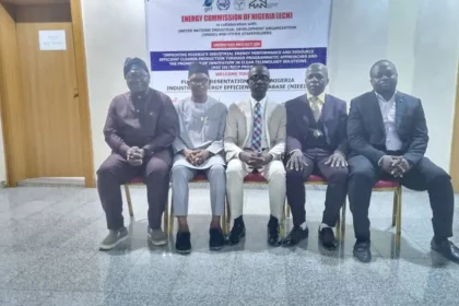 How Nigerian manufacturers, investors can save energy – DG ECN, Abdullahi