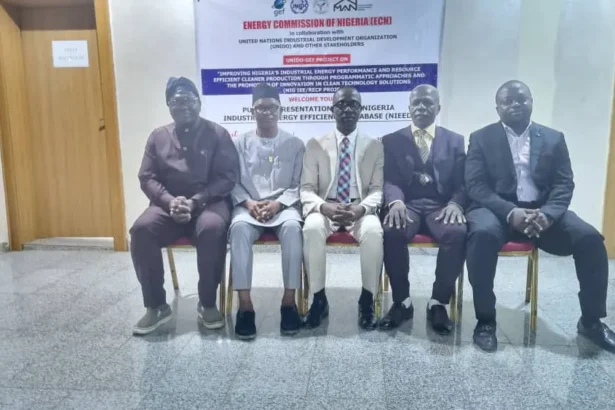 How Nigerian manufacturers, investors can save energy – DG ECN, Abdullahi
