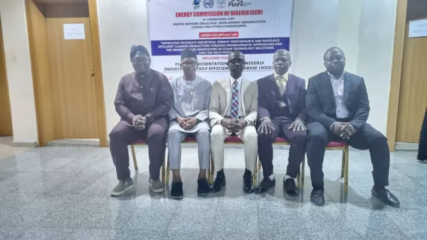 How Nigerian manufacturers, investors can save energy – DG ECN, Abdullahi
