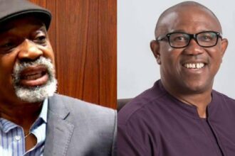 I’m Not Like Soludo, Peter Obi Did Well as Anambra Governor – Dr Chris Ngige
