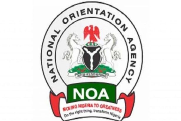 Keep faith with Tinubu’s Renewed Hope Agenda – NOA begs Nigerians