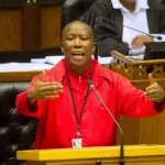 Malema calls for a single African president, currency and military