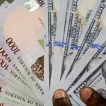 Naira Depreciates Against the Dollar