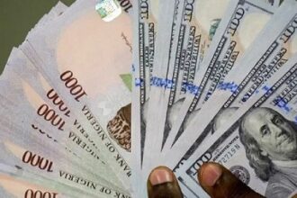 Naira Depreciates Against the Dollar