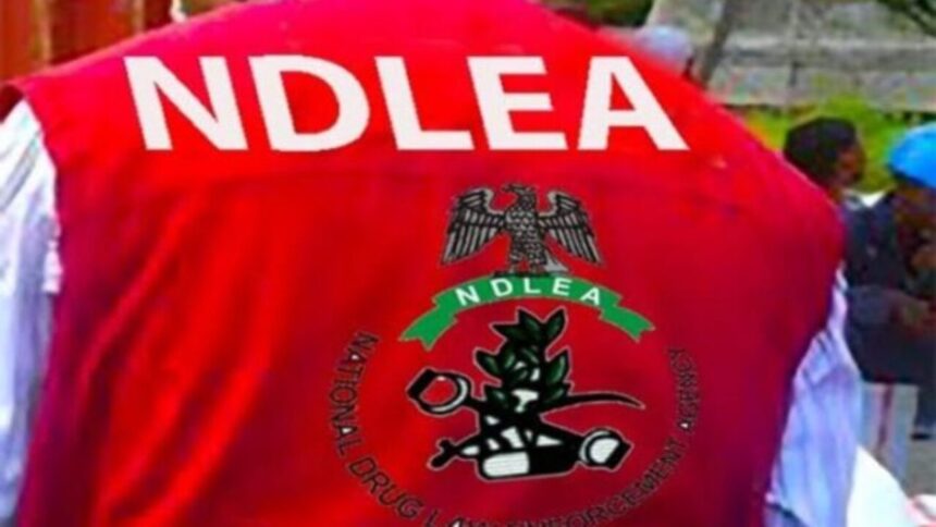 NDLEA arrests 29-year-old man with 7,000 tramadol capsules in Kano