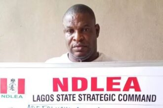 NDLEA Arrests General Overseer Of Mercy Church In Lagos For Cross-Border Drug Trafficking