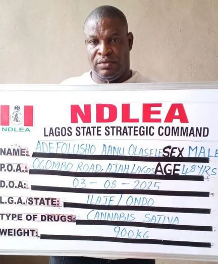 NDLEA Arrests General Overseer Of Mercy Church In Lagos For Cross-Border Drug Trafficking