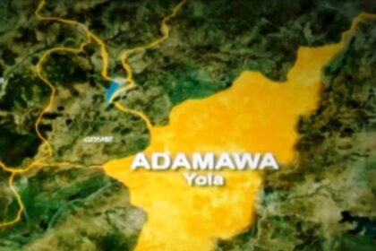 NEMA raises alarm of imminent flood in Adamawa over rising water levels
