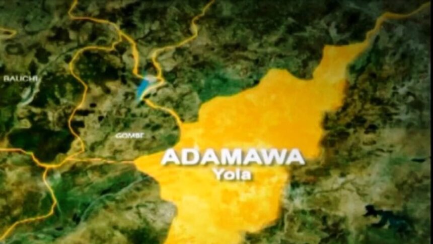 NEMA raises alarm of imminent flood in Adamawa over rising water levels
