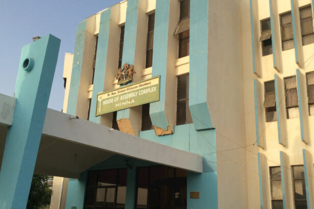 Niger Assembly formally receives new Munya constituency member