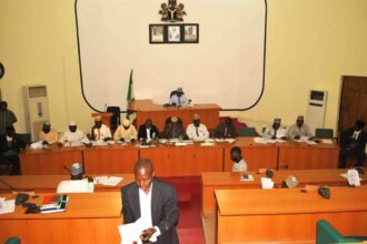 Niger Assembly passes bill to tackle thuggery, intoxication