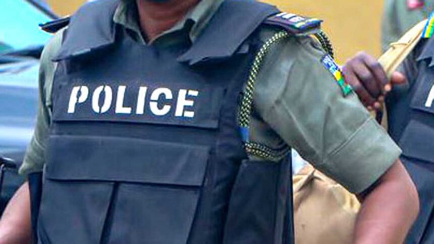 Niger: Police arrest suspected thugs, gang leader wanted for culpable homicide