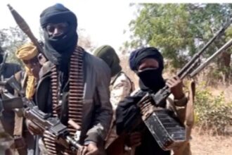 Niger State Govt Confirms Arrest of High-Profile Terrorist Leader, Abubakar Abba by DSS