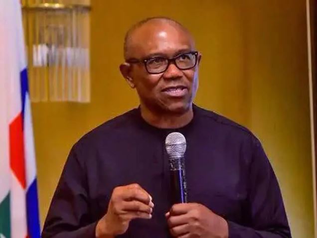 Nigeria Needs Parties Bigger Than Government – Peter Obi