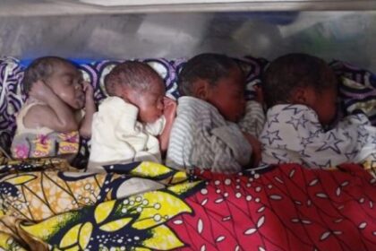 Nigerian Woman Gives Birth To Quadruplets In Yobe