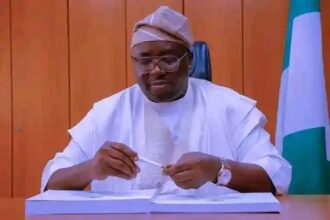 Nigerians Will Enjoy Uninterrupted Power Supply Before Tinubu Leaves Office - Minister of Power, Adebayo Adelabu