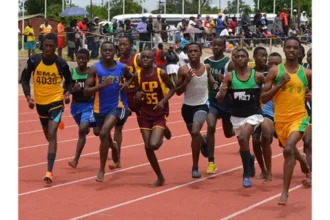 Northeast Basic Education School Sports competition begins in Yola