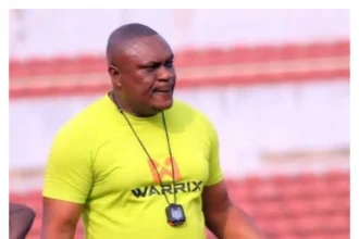 NPFL: Kano Pillars will get better with more games — Coach Ogenyi