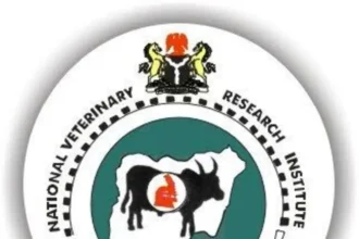 NVRI denies allegations of nepotism, Federal Character violation