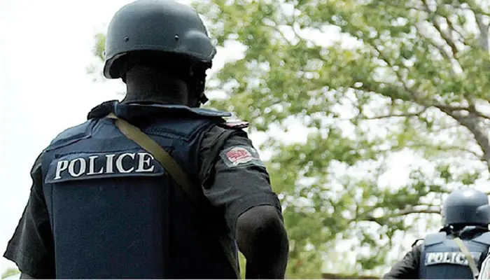 Ogun: Police debunk viral kidnap video
