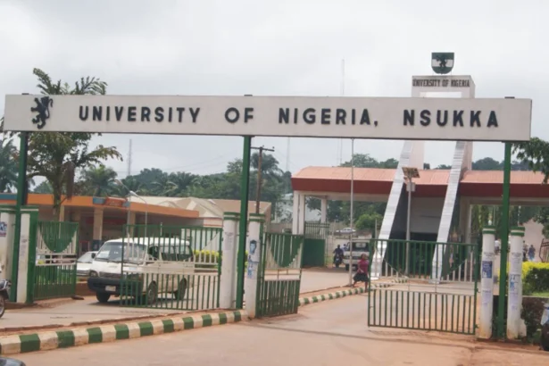 Ortuanya’s election as UNN VC flawed – Lawyer declares