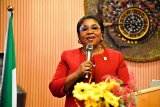 Over 34,000 federal civil servants now have official govt email addresses – Walson-Jack