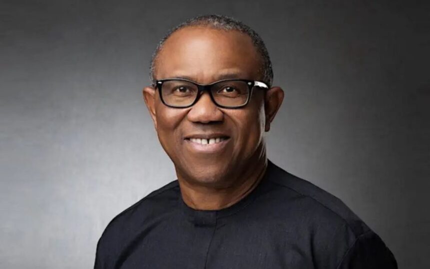 Peter Obi Personally Funded His 2023 Presidential Campaign — Ex-Treasurer, Oluchi Oparah