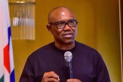 Peter Obi Proposes Single 5-year Tenure For Nigerian President