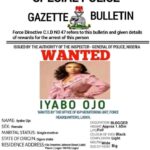 Police respond as viral Iyabo Ojo ‘Wanted’ poster offering reward circulates