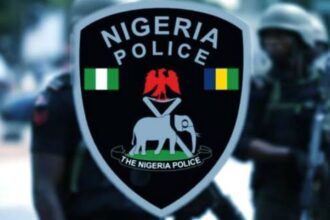 Police restrict movement ahead Kano by-elections, ban vigilante, others from polling units 
