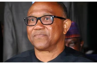 Presidency accuses Peter Obi of falsehood