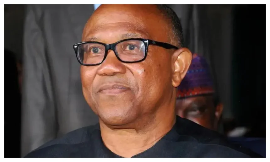 Presidency accuses Peter Obi of falsehood