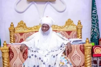 Reintegrating GBV survivors back in society will help recovery – Emir of Minna
