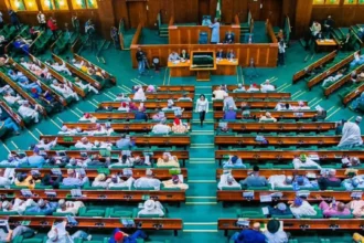 Reps committee orders urgent action on Rivers State secretariat