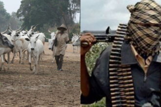 Suspected Herdsmen K!ll Three in Benue Community