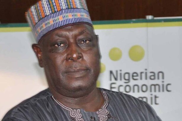 Tinubu offended me, he’s full of himself – Babachir Lawal