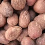 Tinubu orders temporary ban on raw shea nuts export