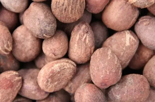 Tinubu orders temporary ban on raw shea nuts export