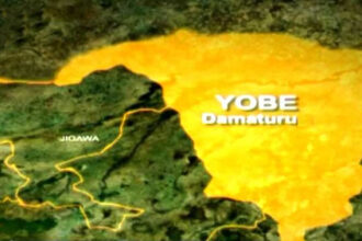 Troops, CJTF kill terrorist in Yobe ambush, recover AK-47, motorcycles