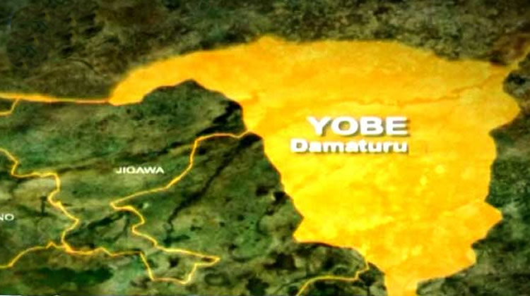 Troops, CJTF kill terrorist in Yobe ambush, recover AK-47, motorcycles