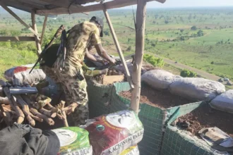 Troops neutralise 12 terrorists, recover weapons in North-East