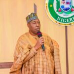 Two brothers injured in suspected herders’ machete attack in Borno