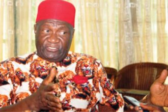 Why Nigeria Is Heading For A Collapse, May Not Survive Beyond 2027 – Ex-Minister, Nnia Nwodo