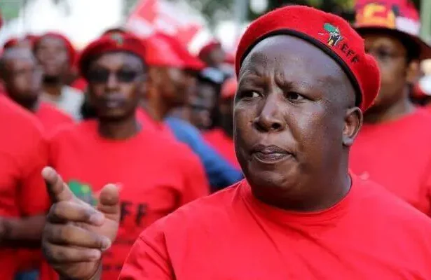 Xenophobia betrays African unity – Malema