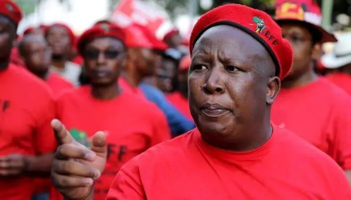 Xenophobia betrays African unity – Malema